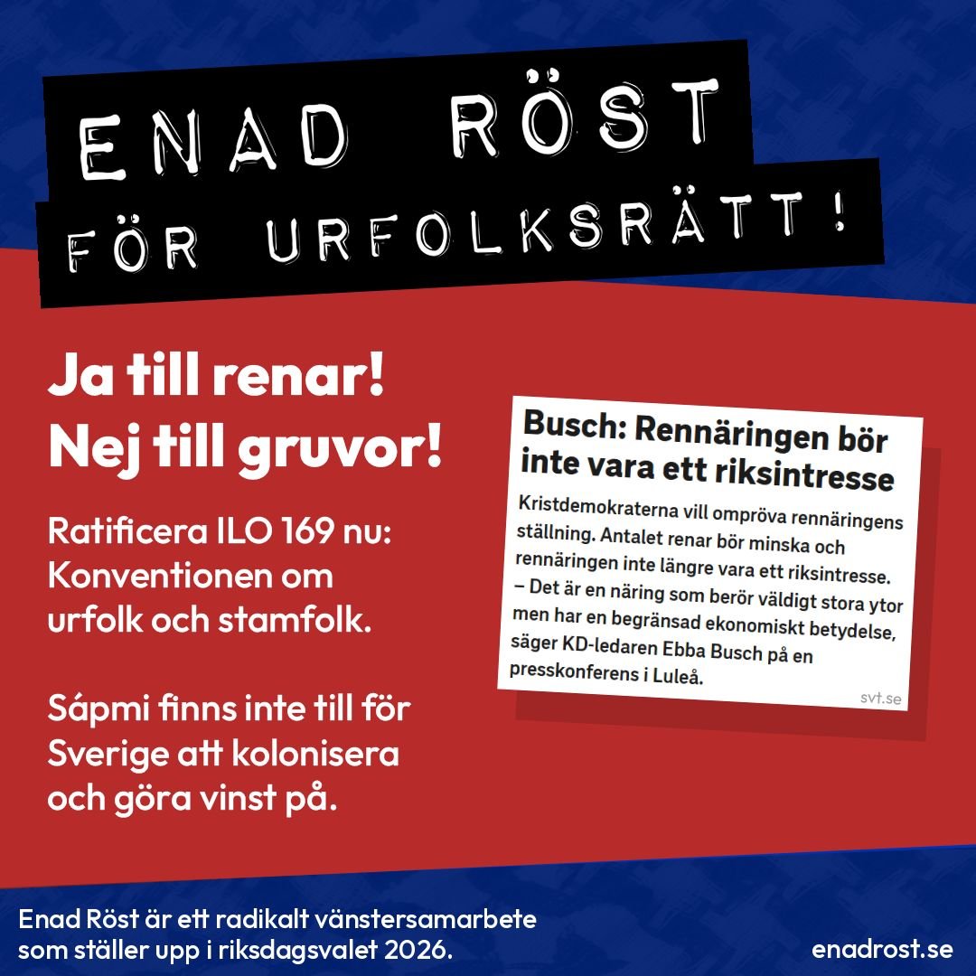 Enad Röst visar ett utklipp från svt.se där Ebba Buasch talar om att rennäringen inte ska vara ett riksintresse, för att den berör väldigt stora ytor men har en begränsad ekonomisk betydelse.